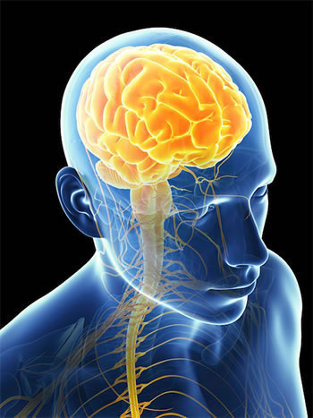 Brain based Chiropractic – where’s the research at?￼